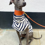 Classic Breton Jersey