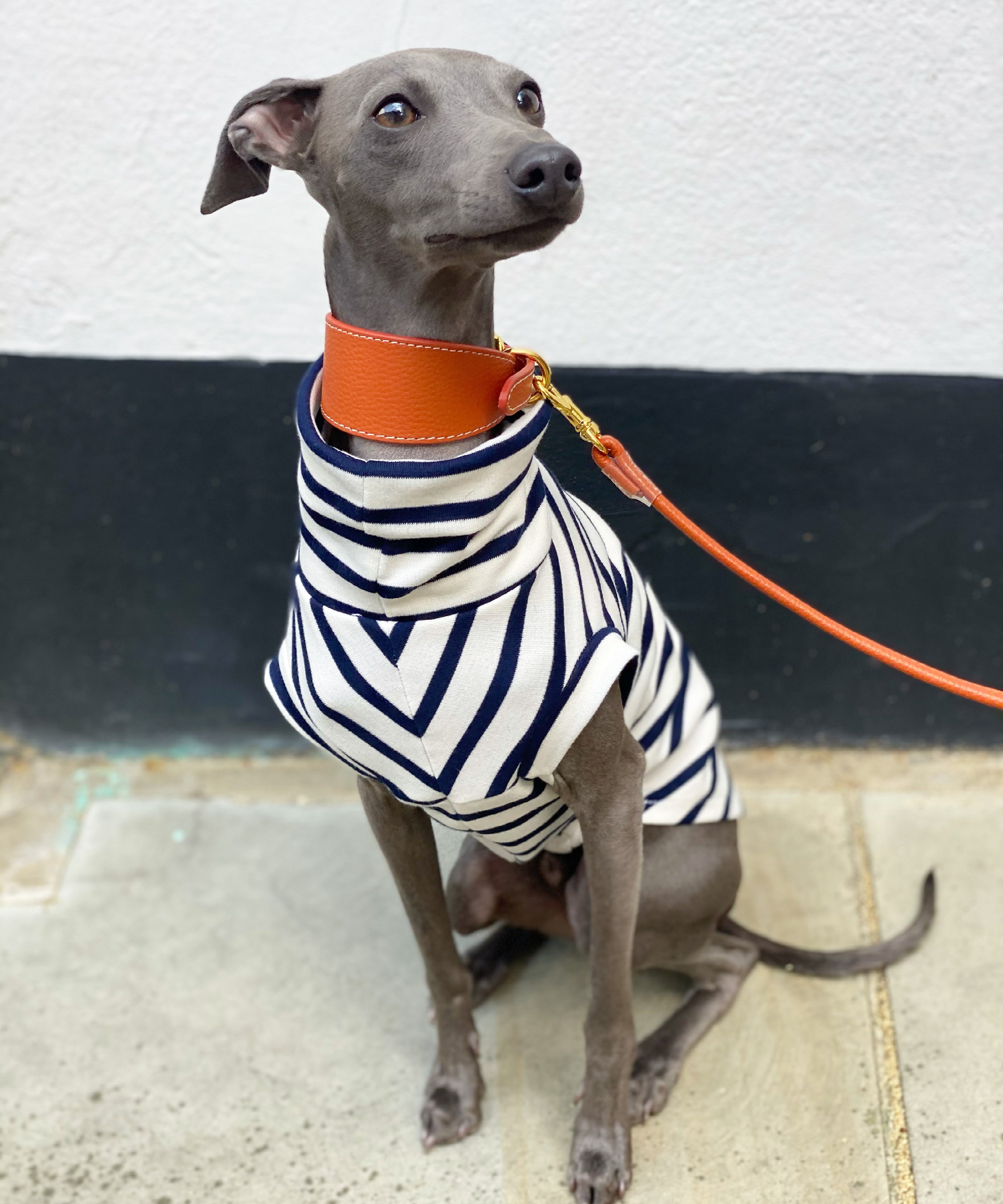 Classic Breton Jersey