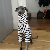 Classic Breton Jersey