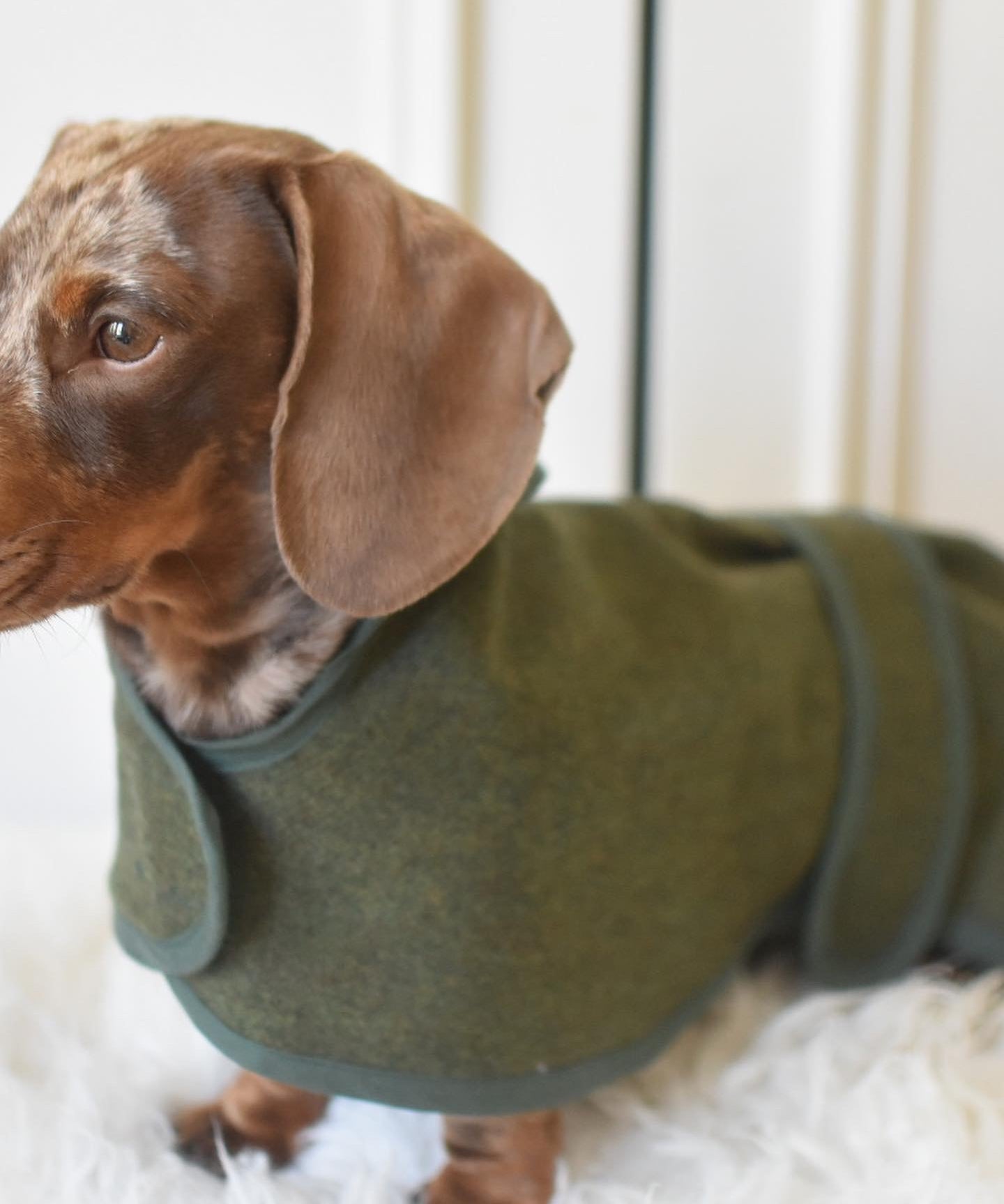 Wool Cape Waterproof / Fleece Lined