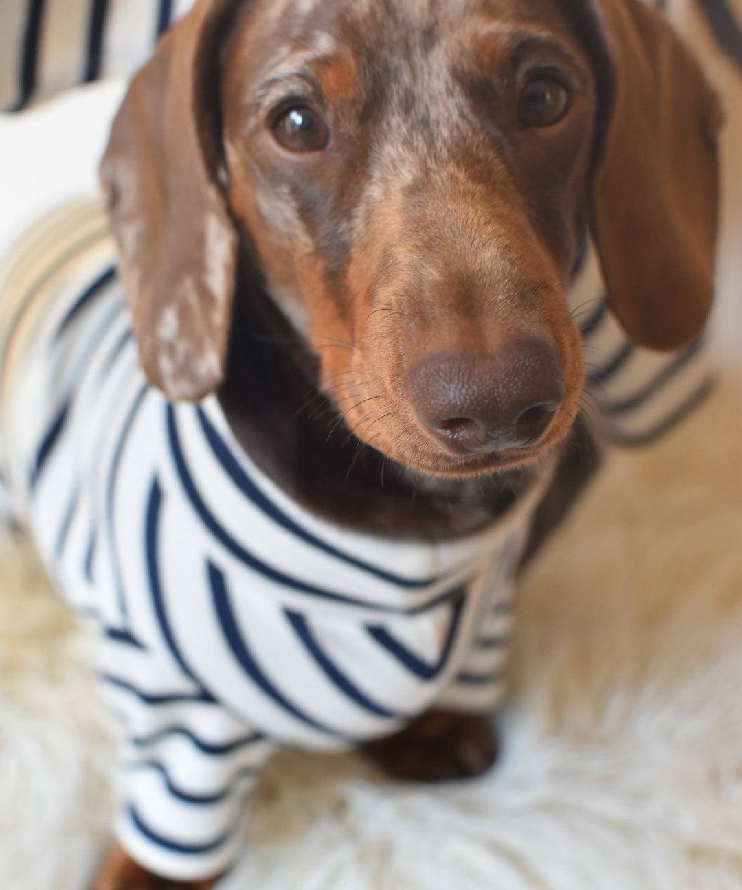 Classic Breton Jersey