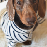 Classic Breton Jersey