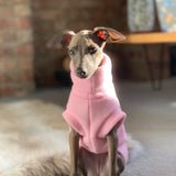 Puppy Fleece Package