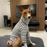 Classic Breton Jersey