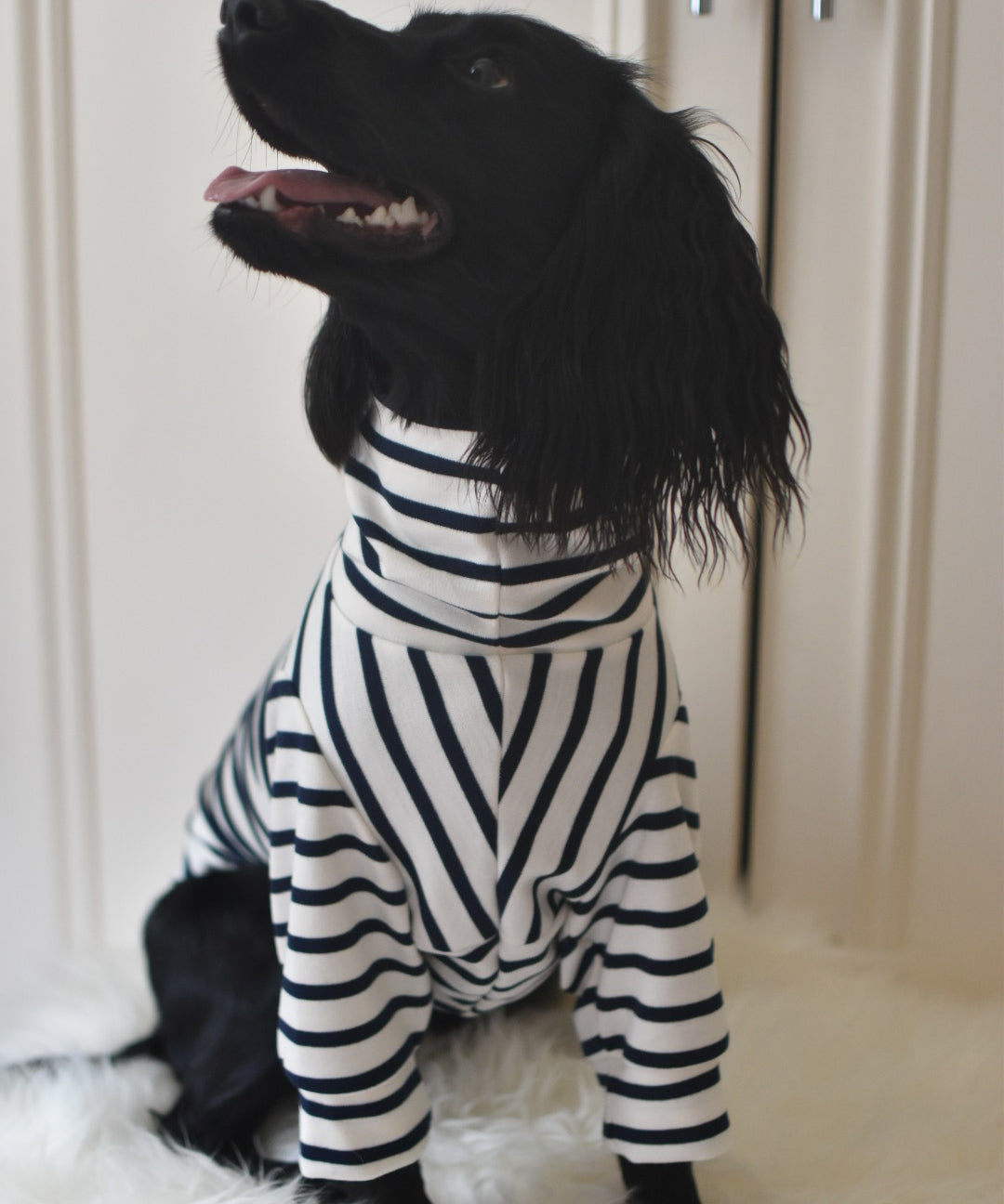 Classic Breton Jersey