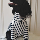 Classic Breton Jersey