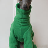 Emerald Green Fleece