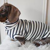 Classic Breton Jersey