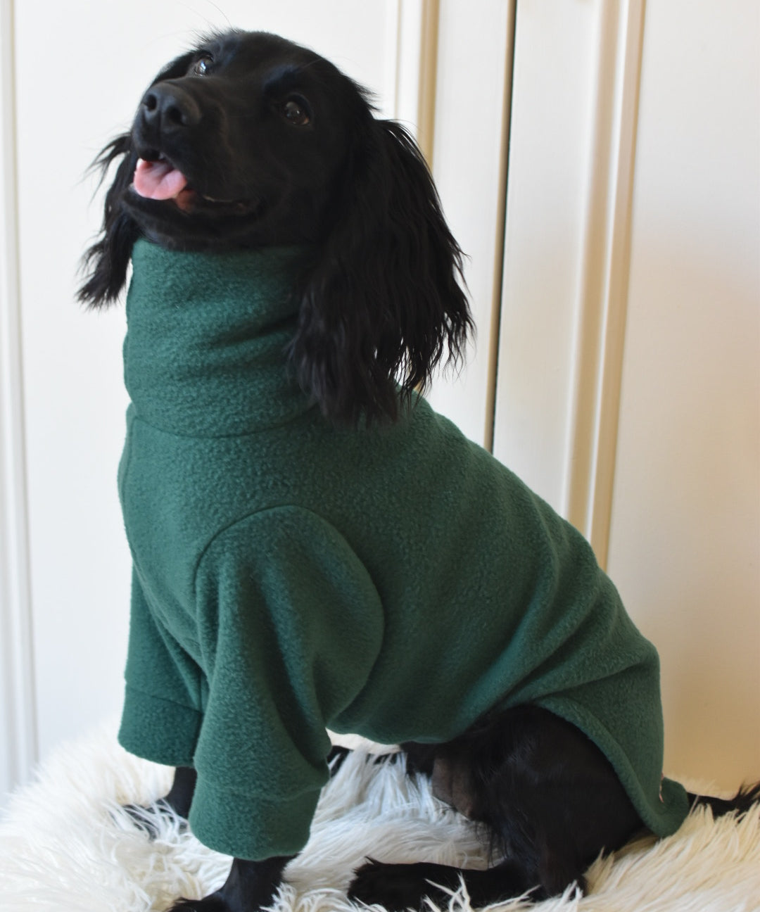 Puppy Fleece Package