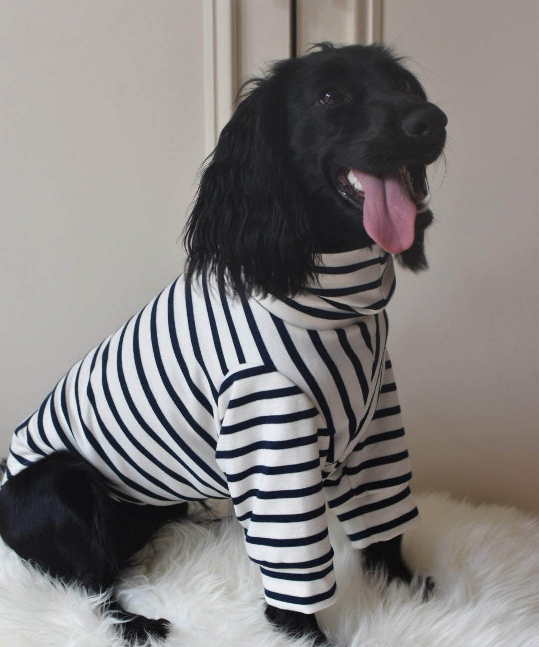 Classic Breton Jersey