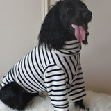 Classic Breton Jersey