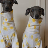 Sunshine Cotton Jersey