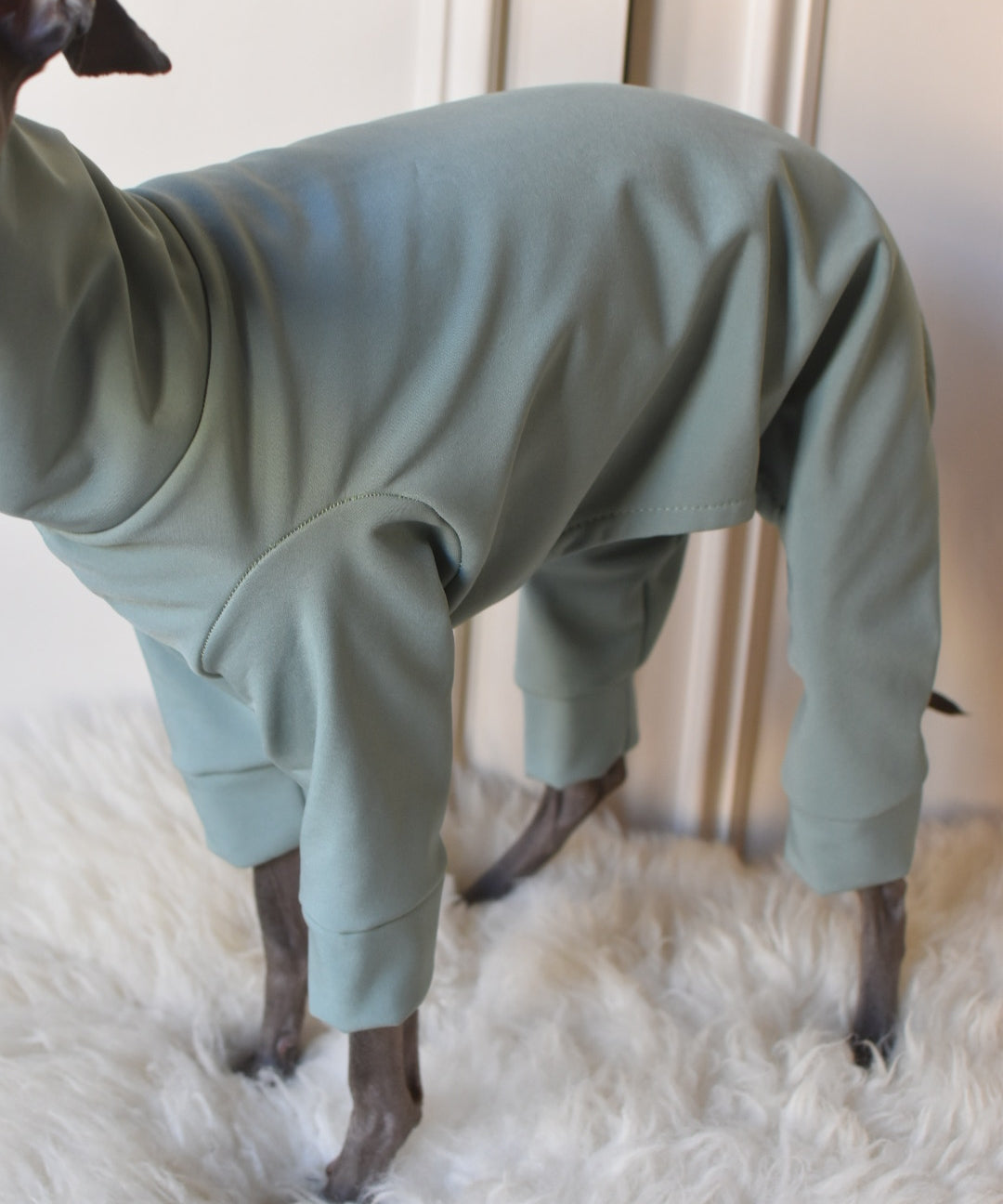 Waterproof Full Fleece Suit