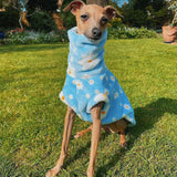 Daisy Super Soft Fleece