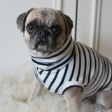 Classic Breton Jersey