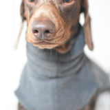 Puppy Fleece Package