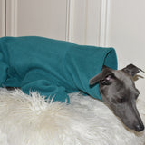 Teal Fleece