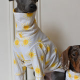 Sunshine Cotton Jersey