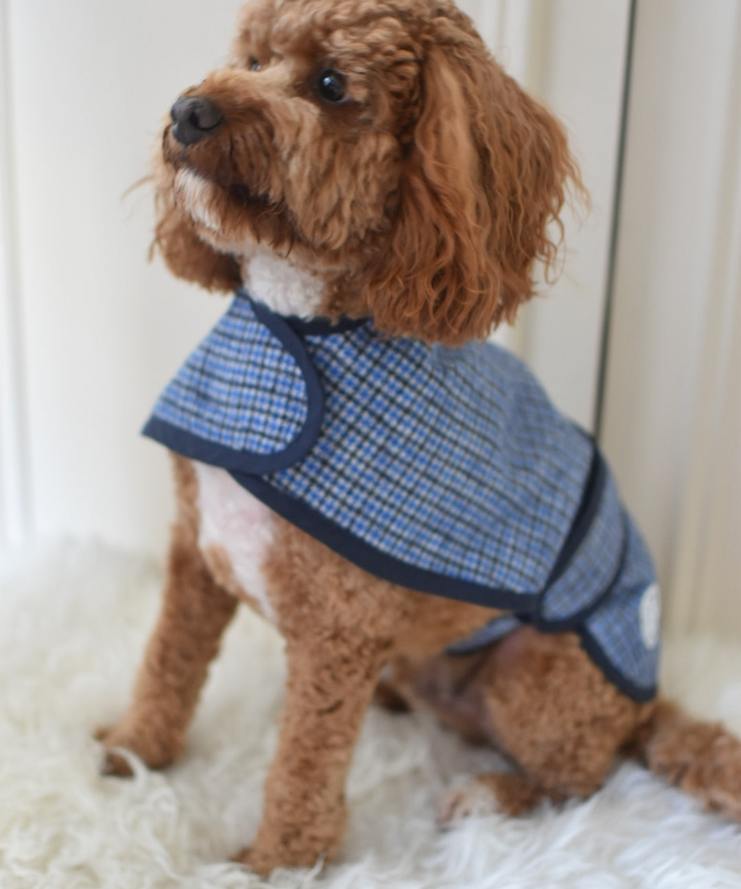 Wool Cape Waterproof / Fleece Lined