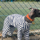 Classic Breton Jersey