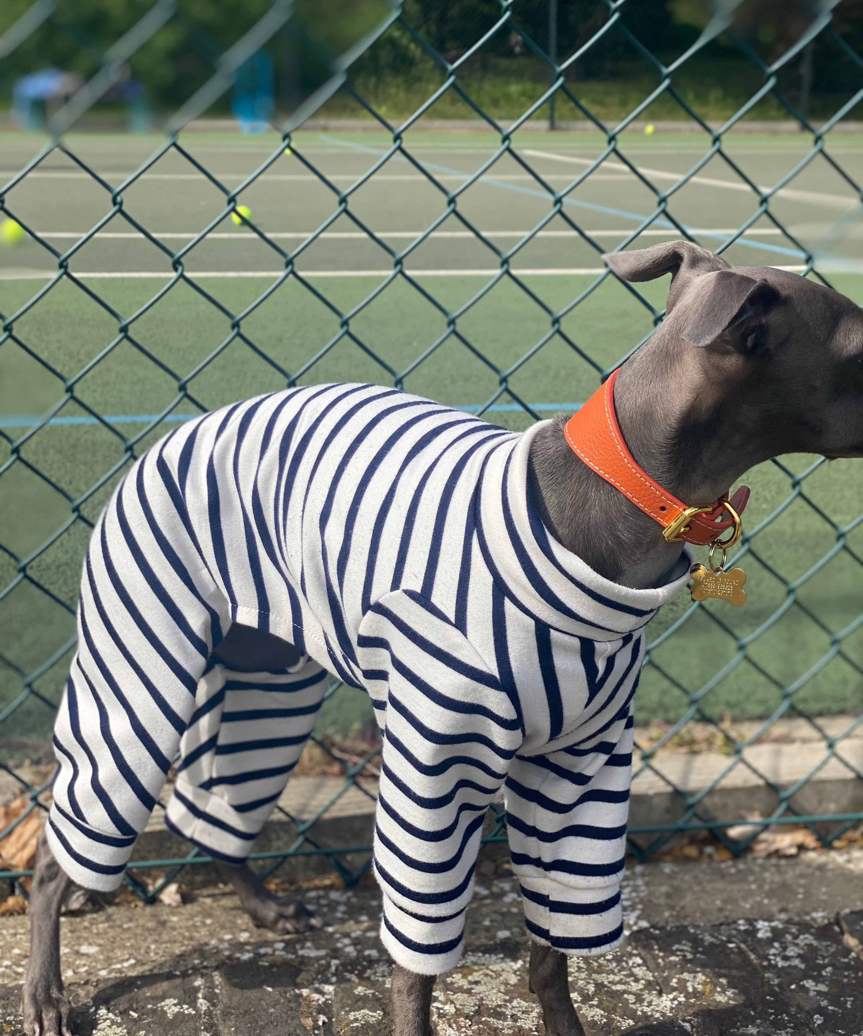 Classic Breton Jersey