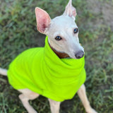 Fluro Fleece