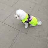 Fluro Fleece