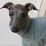 Waterproof Full Fleece Suit