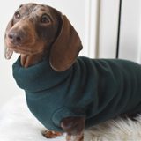 Dark Green Fleece