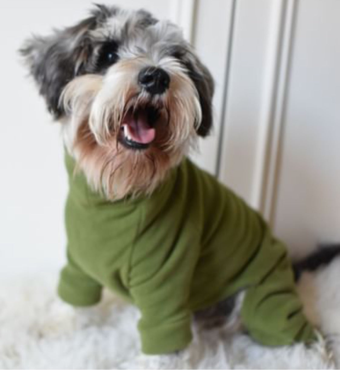 Puppy Fleece Package