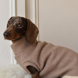 Limited Boiled Wool Jumper