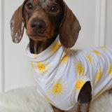 Sunshine Cotton Jersey