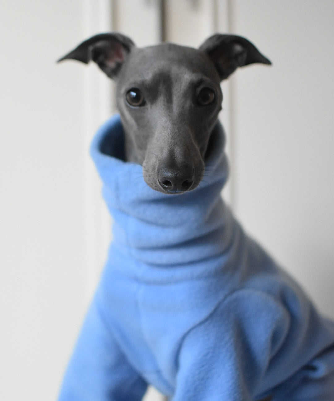 Puppy Fleece Package