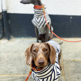 Classic Breton Jersey