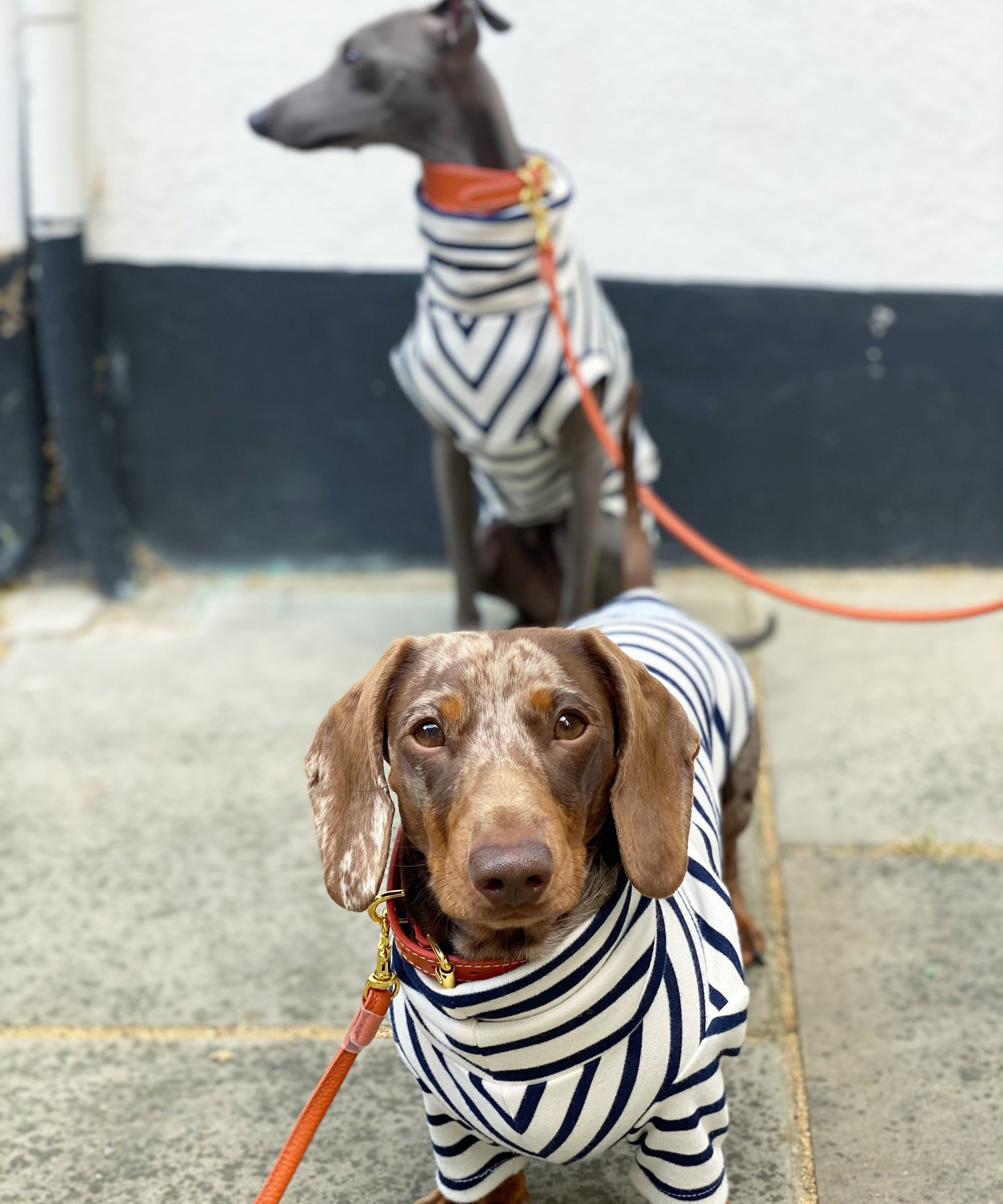Classic Breton Jersey