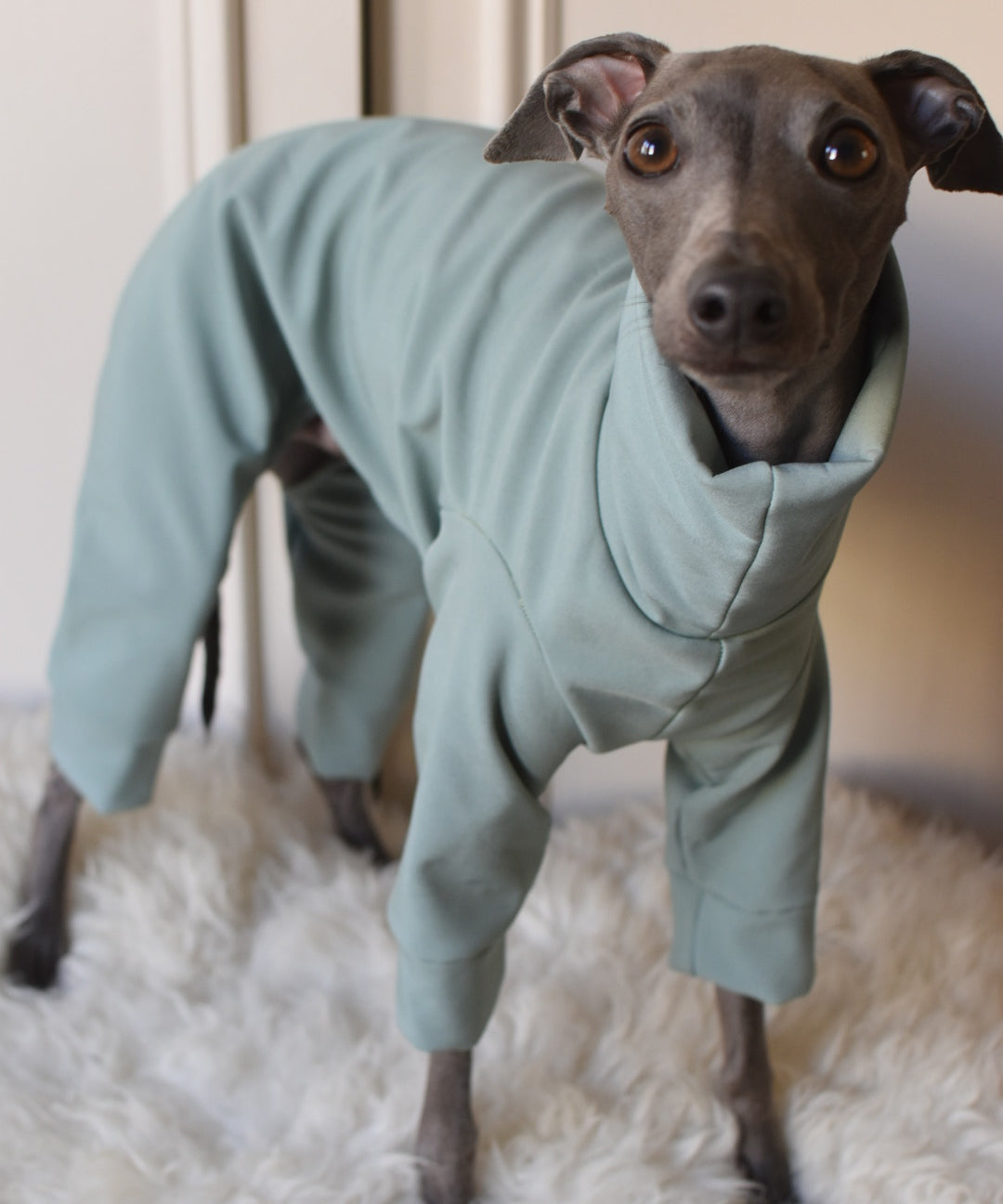 Waterproof Full Fleece Suit