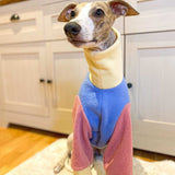 Pastel Rainbow Fleece