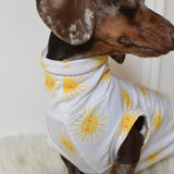 Sunshine Cotton Jersey