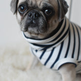 Classic Breton Jersey