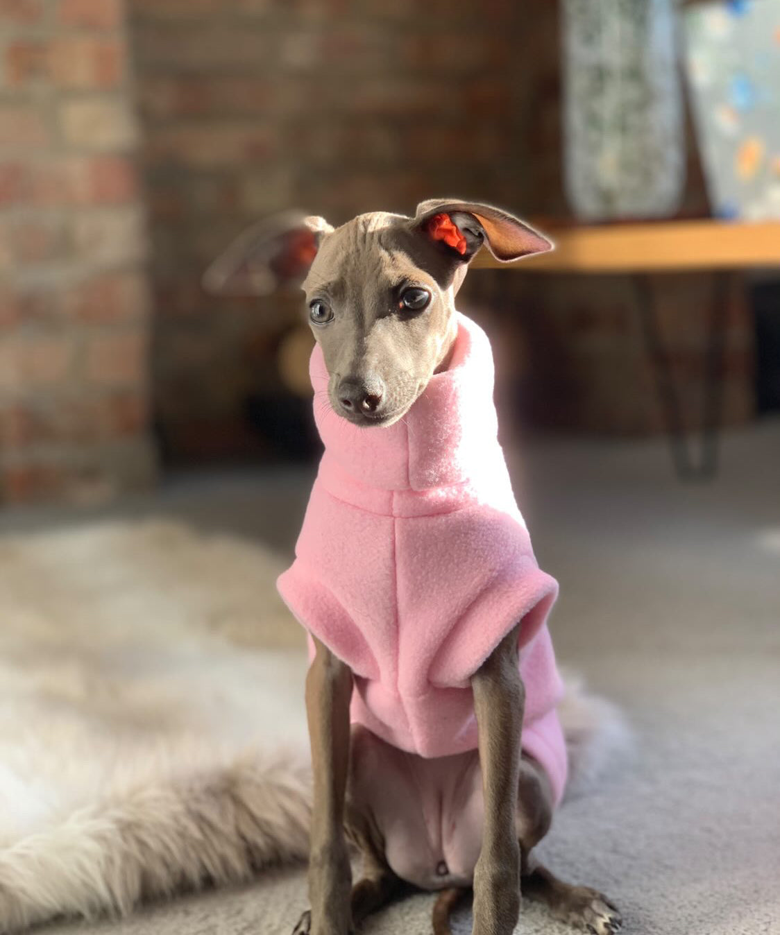 Puppy Fleece Package