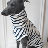 Classic Breton Jersey