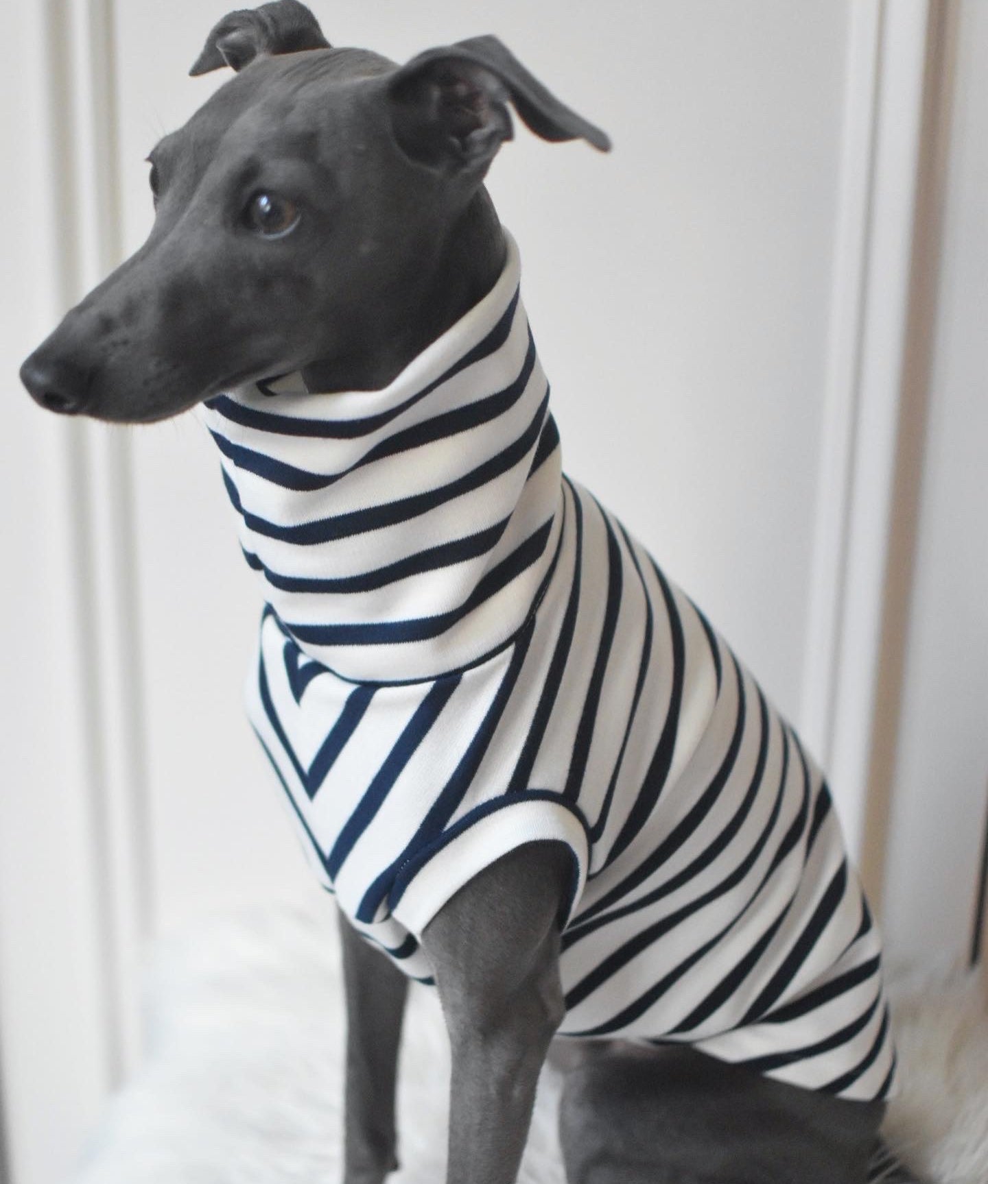 Classic Breton Jersey