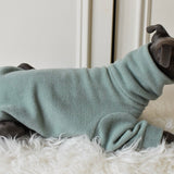 Mint Fleece