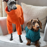 Puppy Fleece Package