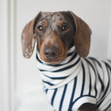 Classic Breton Jersey