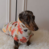 Pumpkin Spice Fleece