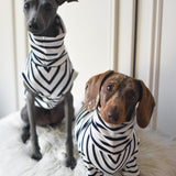 Classic Breton Jersey