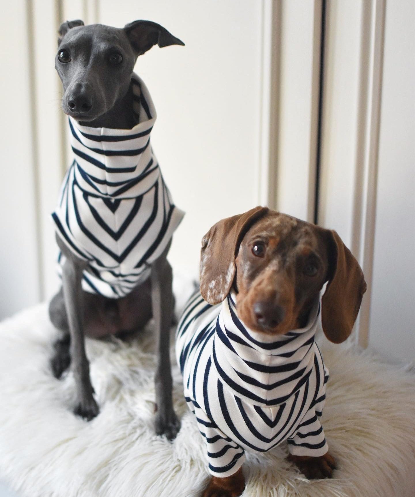 Classic Breton Jersey