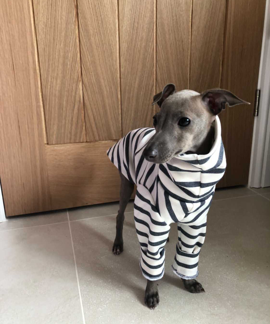 Classic Breton Jersey