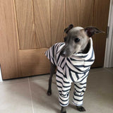 Classic Breton Jersey